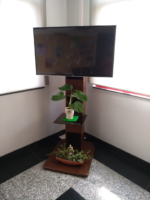 TV Trolley