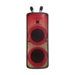 Saatvik Wireless Bluetooth PartyBox Speaker with Two Wireless Mic