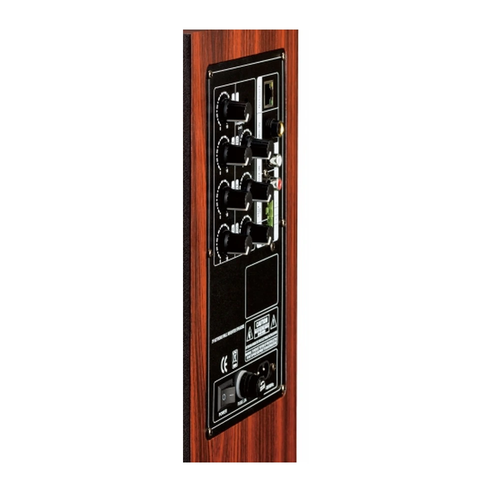 CMX DI-9723P Side RJ45 Ethernet Port, Volume Controls, AUX and Mic Inputs